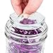 Glass Fermentation Weights with Innovative Handle (4 Pack) - Perfect for making Pickles, Sauerkraut and other fermented food - Fits ANY Wide Mouth Mason Jar