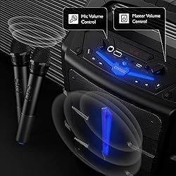 EARISE Vigorowl T65 Portable PA System with 2