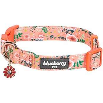 Blueberry Pet 6 Patterns Spring Scent Inspired Garden Balsam Adjustable Dog Collar in Apricot, Small, Neck 12