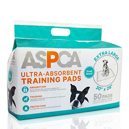 The Best Puppy Pads Dogtime