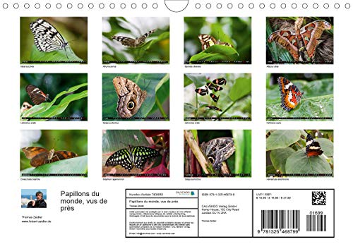 Papillons du monde, vus de près (Calendrier mural 2020 DIN A4 horizontal): Portraits de douze papillons aux couleurs…