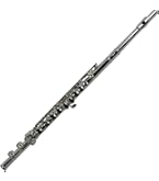 Amazon.com: Student Flute 2.0 - Silver/Black : Musical Instruments