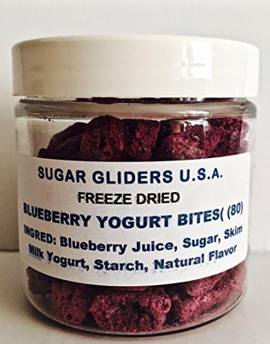 SUGAR GLIDER/HAMSTER/SMALL MAMMAL ALL NATURAL BLUEBERRY YOGURT BITES 80 PACK JAR