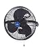 iLIVING ILG8E14-15 Wall Mount Outdoor Waterproof Fan, 14", Black