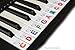 Keyboard or Piano Stickers 61 key set For Kids learn to play THE FUN WAY PSMW61