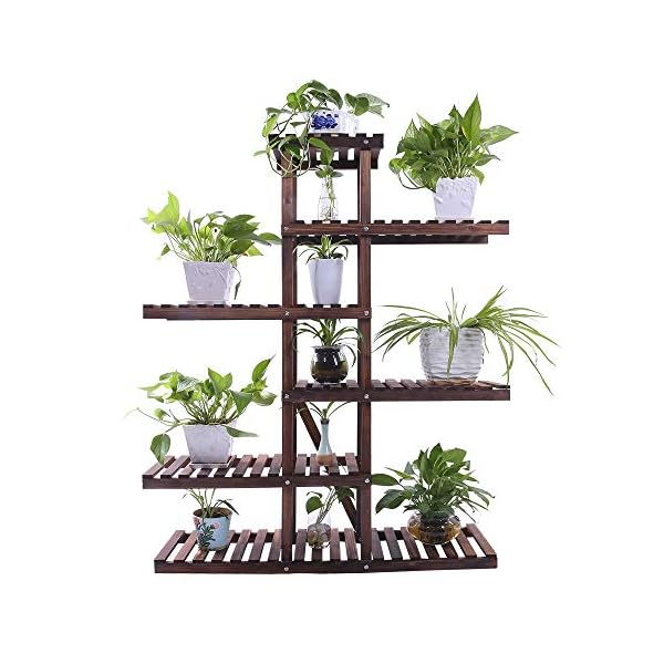 hydroponic plant containers Simple Desktop Hydroponics Glass Bulb Planter Vase With Wooden Stand F –  NordicWallArt.com