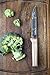 Opinel Parallele Stainless Steel Carving Knife