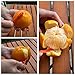 SS SHOVAN Orange Citrus Peeler, Kitchen Tool Safe Plastic Easy Fruit Slicer Cutter Peeler, 12+2 Pack