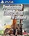 Professional Construction - The Simulation (PS4)
