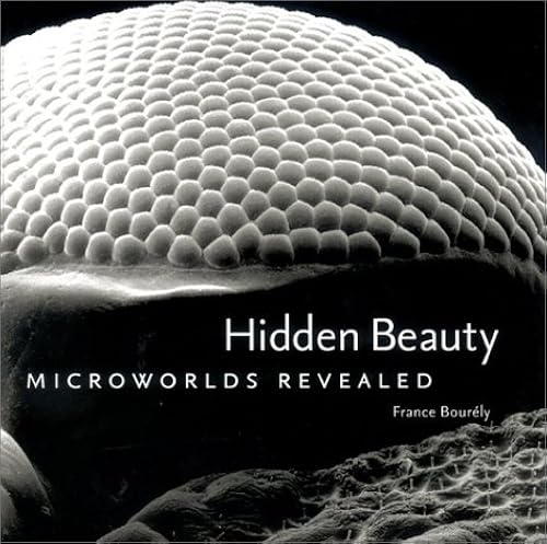 Download Hidden Beauty: Microworlds Revealed PDF