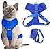 Dexil Luxury Cat Harness Padded and Water Resistant (Blue S-M)