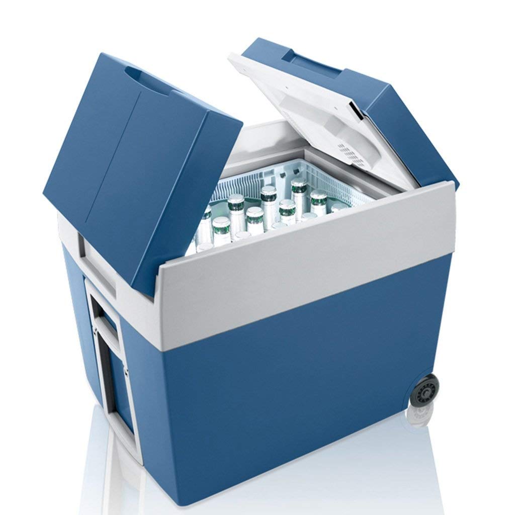 The 10 Best Car Refrigerator 48 Lieter Your Home Life