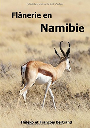 Flânerie en Namibie