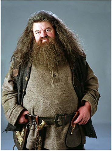 Harry Potter Robbie Coltrane As Rubeus 