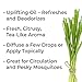 Plant Therapy Organic Lemongrass Essential Oil 100% Pure, USDA Certified Organic, Undiluted, Natural Aromatherapy, Therapeutic Grade 10 mL (1/3 oz)