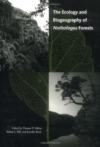 The Ecology and Biogeography of Nothofagus Forests