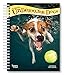 Underwater Dogs 2019 6 x 7.75 Inch Weekly Engagement Calendar, Pet Humor Puppy by