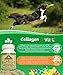 Makondo Pets - Collagen for Dogs & Cats - Collagen Supplements for Joint Health - Vitamin C Supplement for Joint Mobility - Joint Support Supplement for Dog & Cats - Bacon Flavored Tablets (60 Count)