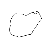 Polaris RZR Stator Cover Gasket, Genuine OEM Part
