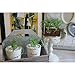 LianLe Artificial Succulent Plants Home Creative Decoration Succulent Flowers