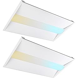 ildfluer 2x4 FT LED Troffer