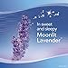 Febreze Air Freshener, Small Spaces Air Freshener, Sleep Serenity Moonlit Lavender Air Freshener (1 Count, 5.5 mL)