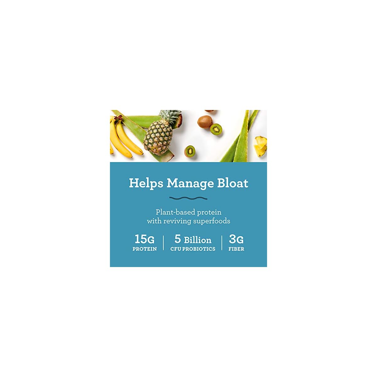 Amazing Grass DIGEST Vegan Protein Powder, Plant Based with Probiotics