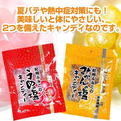 Amazon 紀州塩キャンディ 梅 みかん 各90g ふみこ農園 あめ