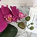 LIVILAN Large Lifelike Silk Orchid with Decorative Ceramic Grey Vase Vivid Artificial Flower Arrangement Potted Orchid Plant, Fuchsia