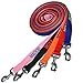 GoTags Personalized Dog Leash, Embroidered with Pet Name or Custom Text, Heavy Duty Washable Nylon, Colorful 6 FT Collar Lead in Black, Blue, Pink, Orange, Red and More, Comfort Loop Handle