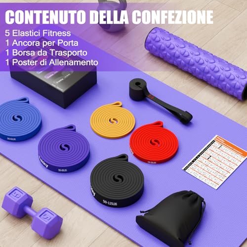 Fokky Elastici Fitness 5 Livelli di Resistenza, Elastico Palestra con Ancora per Porta,Guida agli Esercizi e Borsa da Trasporto per Allenamento di Forza,Stretching,Calisthenics,CrossFitness