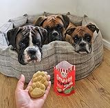 Laughing Dog Fruity Paws Strawberry Peanut Butter Dog Treats 125g view 3