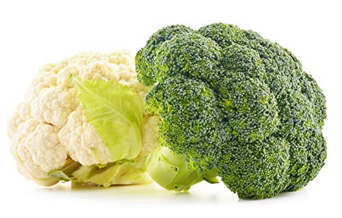 Fresh and Honest Foods 100% All Natural Freeze Dried Mixed Vegi I (Broccoli & Cauliflower) 6.0 OZ #10 Can
