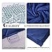 L'AGRATY Luxury Minky Sherpa Weighted Blanket for Adults (15lbs, 48