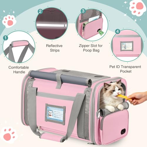 BTNEEU Foldable Cat Carrier Carrier Small Dog Carrier Airline Approved Breathable Carrier Bag with Inner Strap, Washable Soft Cushion and Adjustable Shoulder Strap (Pink)