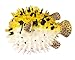 Safari Ltd  Incredible Creatures Pufferfish
