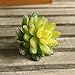 Neomark Set of 3 Vinyl Artificial Succulent Cactus Plants for Office Home Decor Craft Making