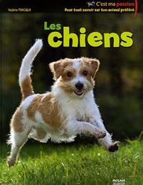 Les  chiens