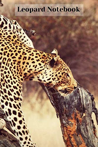 Leopard Notebook: Leopard notebook blank pages - Journal to write in - 120 pages - 6"x9"