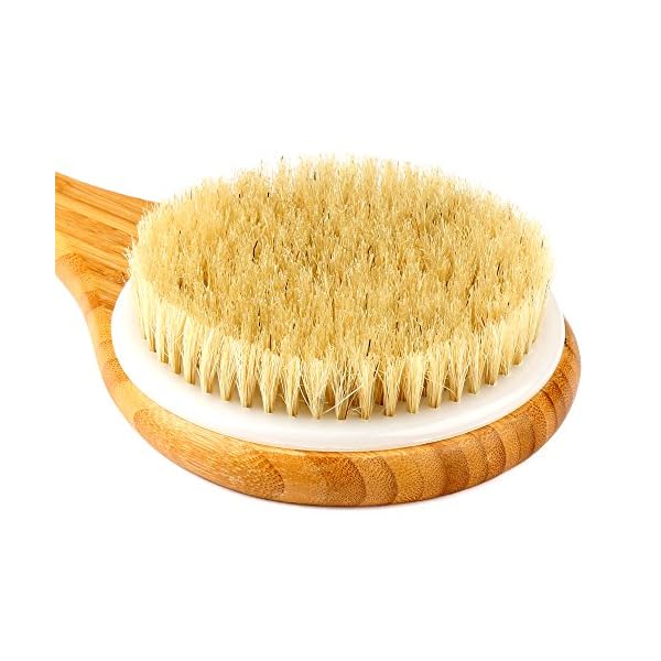 H&S Body Brush Back Scrubber Long Handle Bath Shower Brush Natural Bristles Dry Skin Exfoliating Cellulite Brush Bamboo…