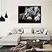 GOUPSKY New Modern Wildlife Wall Painting Animal Black and White Tiger Poster Paint on Canvas Prints Home Decorative Art Picture (24x36inchx1pcs(60x90cmx1pcs))