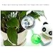 Giveme5 Pack of 3 Aqua Globes Small Plant Flower Automatic Self Watering PVC Bulbs Ball Garden Waterer Device Set (Transparent)