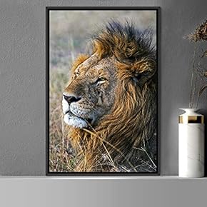 signwin Framed Canvas Wall Art Lion Animals Chic...