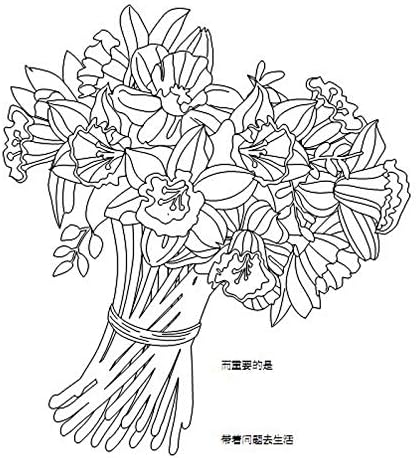 Malarbok Drom Tradgard Infiniment Fleuri For Vuxna Barn Anti Stress Malning Teckning Hemlig Tradgard Malarbok Gava Amazon Se Home