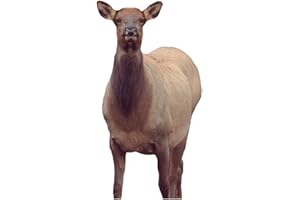 Montana Decoy Eichler Elk