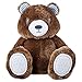 Leaps & Bounds Little Loves Teddy Bear Puppy Plush Toy, 9