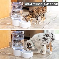 PetFusion H2O Gravity Pet Water Dispenser. Durable