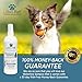 Lillian Ruff Waterless Dog Shampoo - No Rinse Quick Dry Shampoo for Dogs Spray - Tear Free Lavender Coconut Scent to Deodorize Pet Odor and Freshen Coat - Made in USA (16oz)