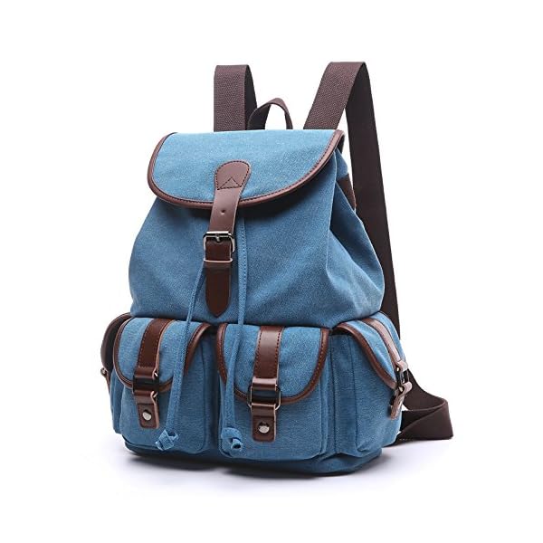 women's laptop backpack purse