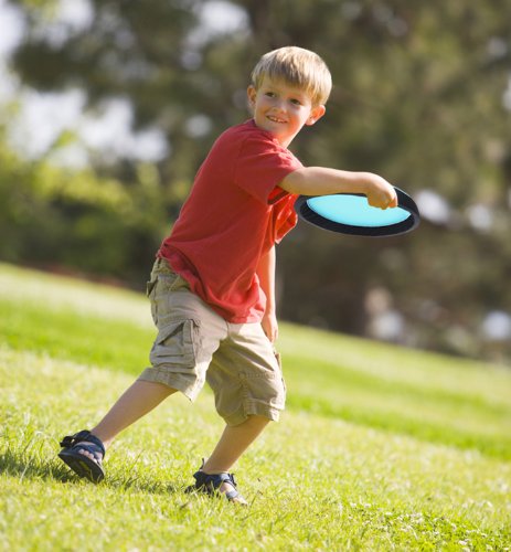 Lungs Japan (RANGS) Doddjibi 270 Angel Magic (japan import)